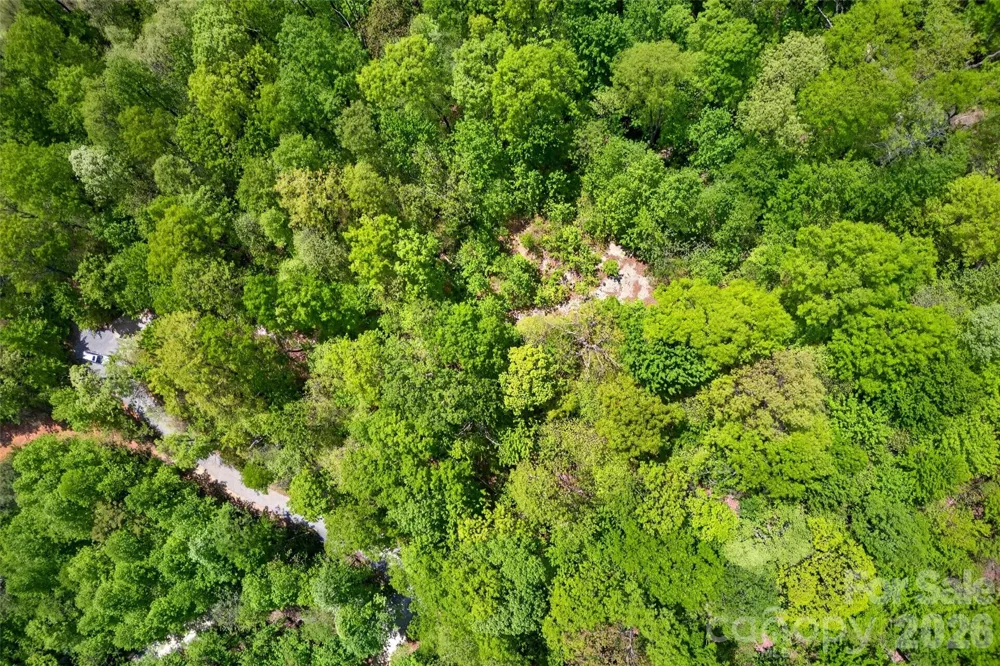 0 Bobcat Drive #741 Old Fort, NC 28762