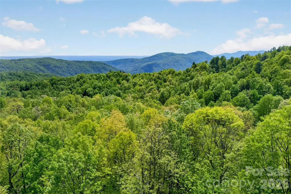 0 Bobcat Drive #741 Old Fort, NC 28762