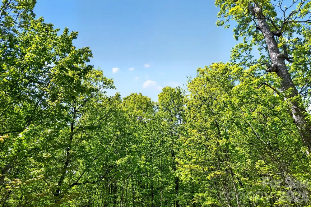 0 Bobcat Drive #741 Old Fort, NC 28762