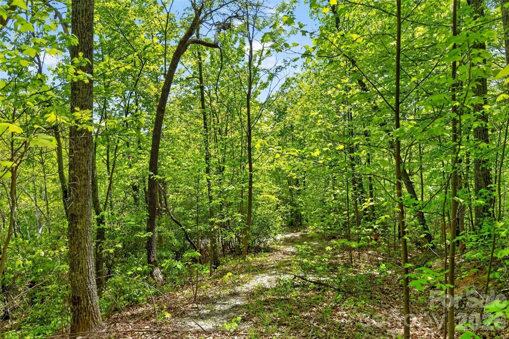0 Bobcat Drive #741 Old Fort, NC 28762