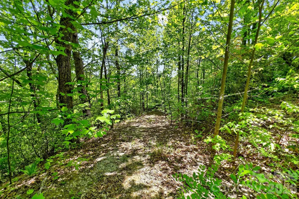 0 Bobcat Drive #741 Old Fort, NC 28762