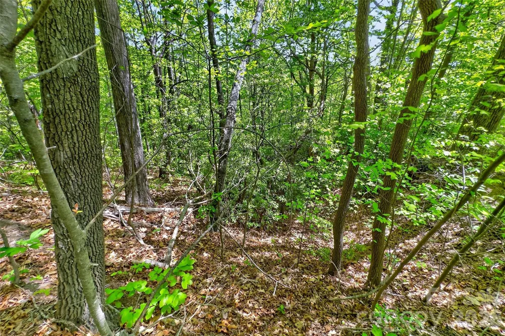 0 Bobcat Drive #741 Old Fort, NC 28762