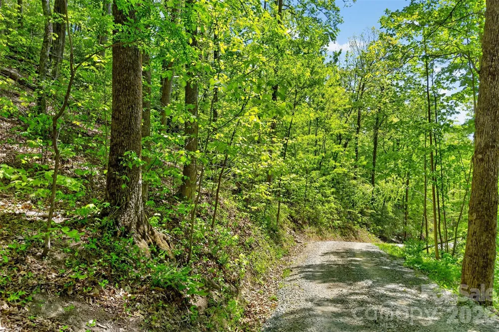 0 Bobcat Drive #741 Old Fort, NC 28762