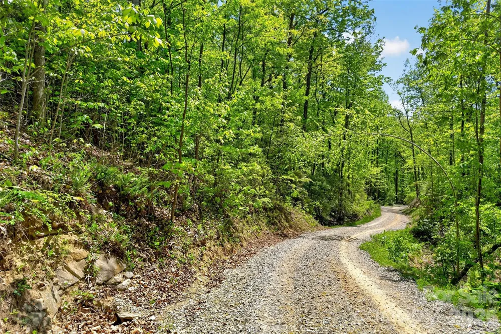 0 Bobcat Drive #741 Old Fort, NC 28762