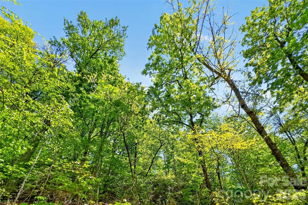 0 Bobcat Drive #741 Old Fort, NC 28762