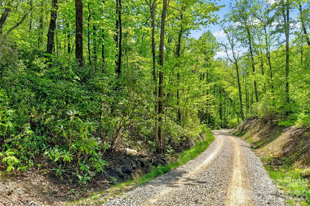 0 Bobcat Drive #741 Old Fort, NC 28762