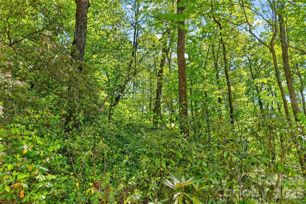 0 Bobcat Drive #741 Old Fort, NC 28762