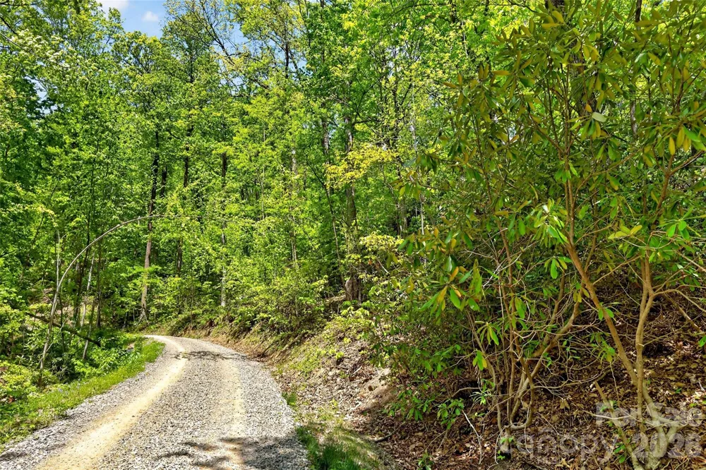 0 Bobcat Drive #741 Old Fort, NC 28762