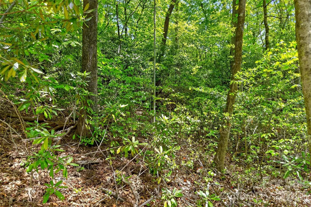 0 Bobcat Drive #741 Old Fort, NC 28762