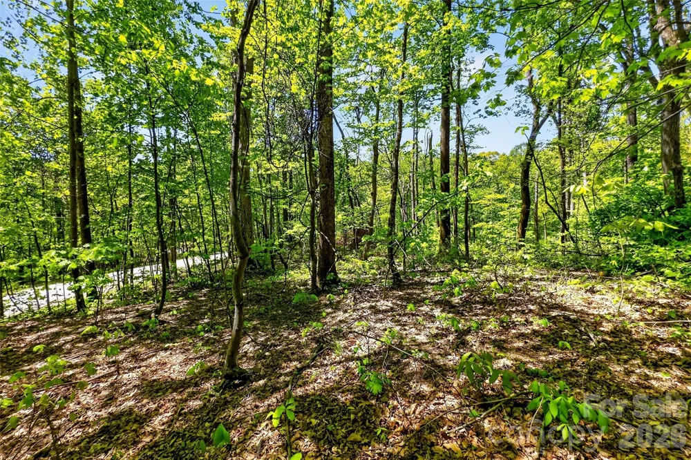 7 Gateway Parkway Old Fort, NC 28762