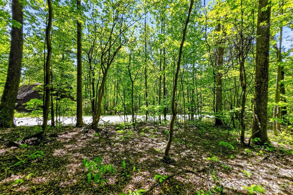 7 Gateway Parkway Old Fort, NC 28762