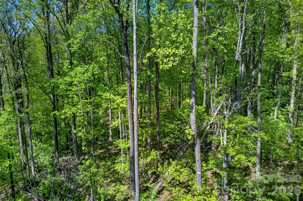 7 Gateway Parkway Old Fort, NC 28762