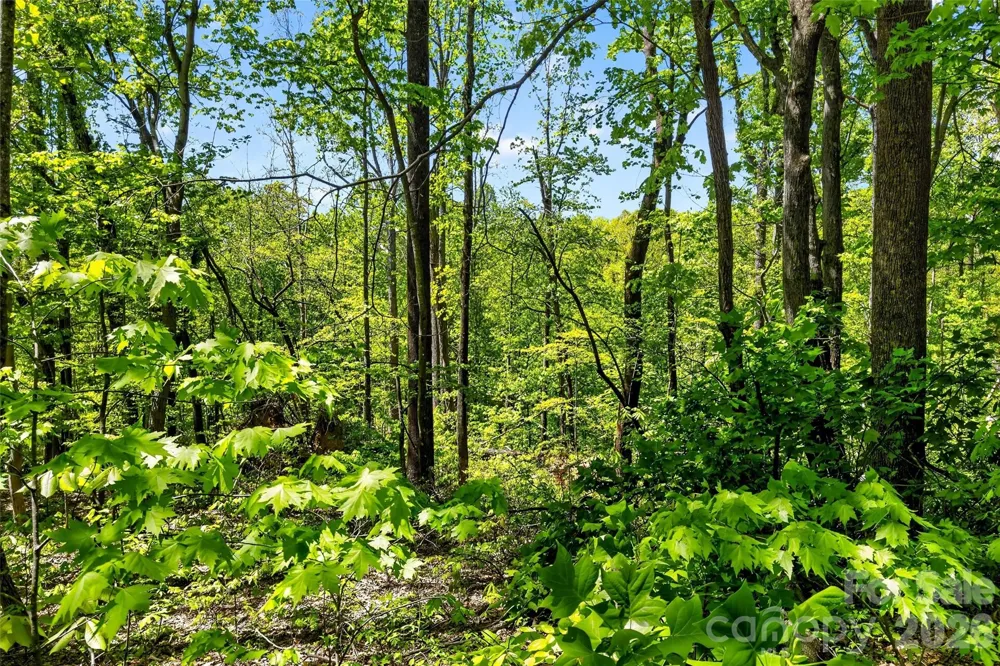 7 Gateway Parkway Old Fort, NC 28762