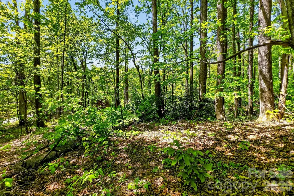 7 Gateway Parkway Old Fort, NC 28762