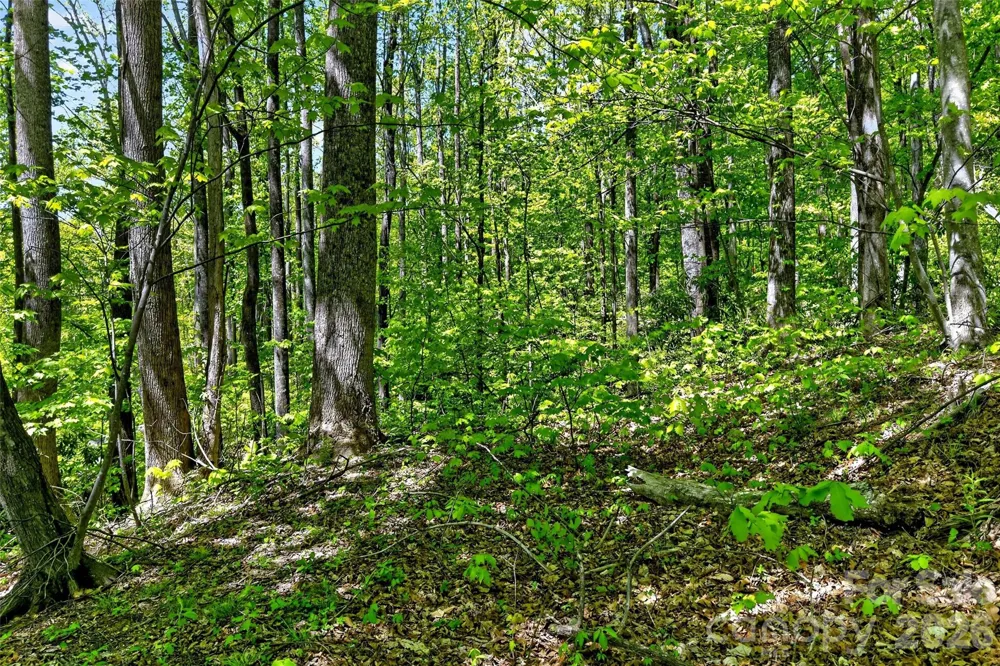7 Gateway Parkway Old Fort, NC 28762
