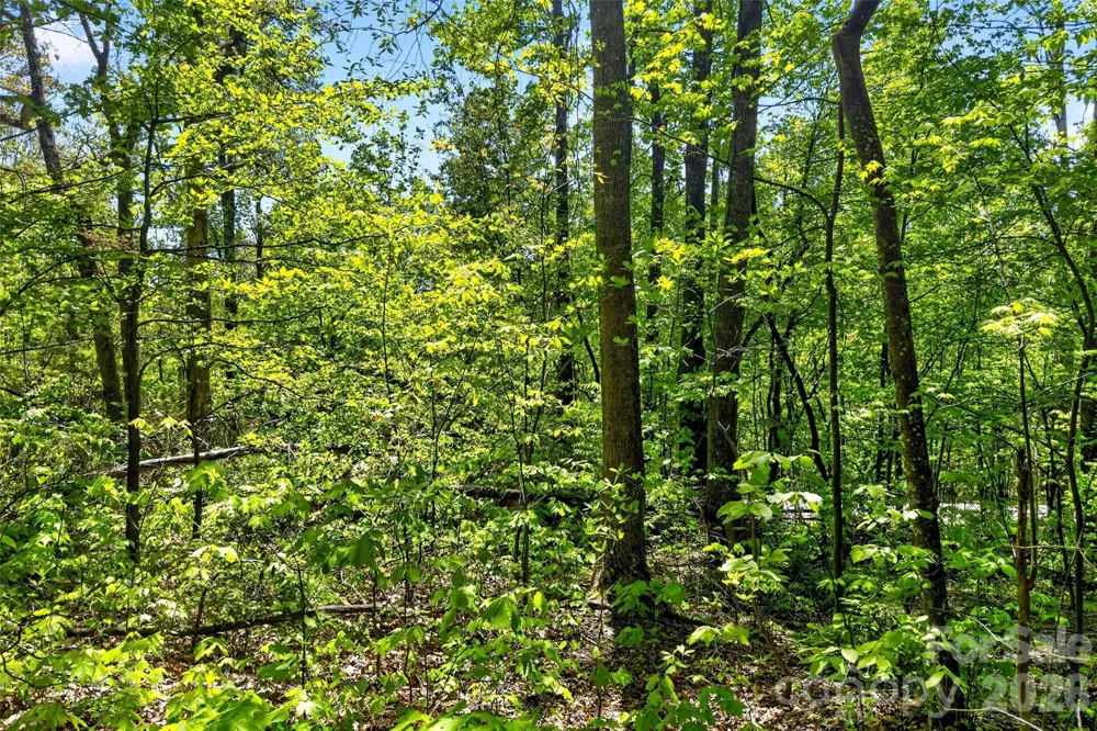 7 Gateway Parkway Old Fort, NC 28762
