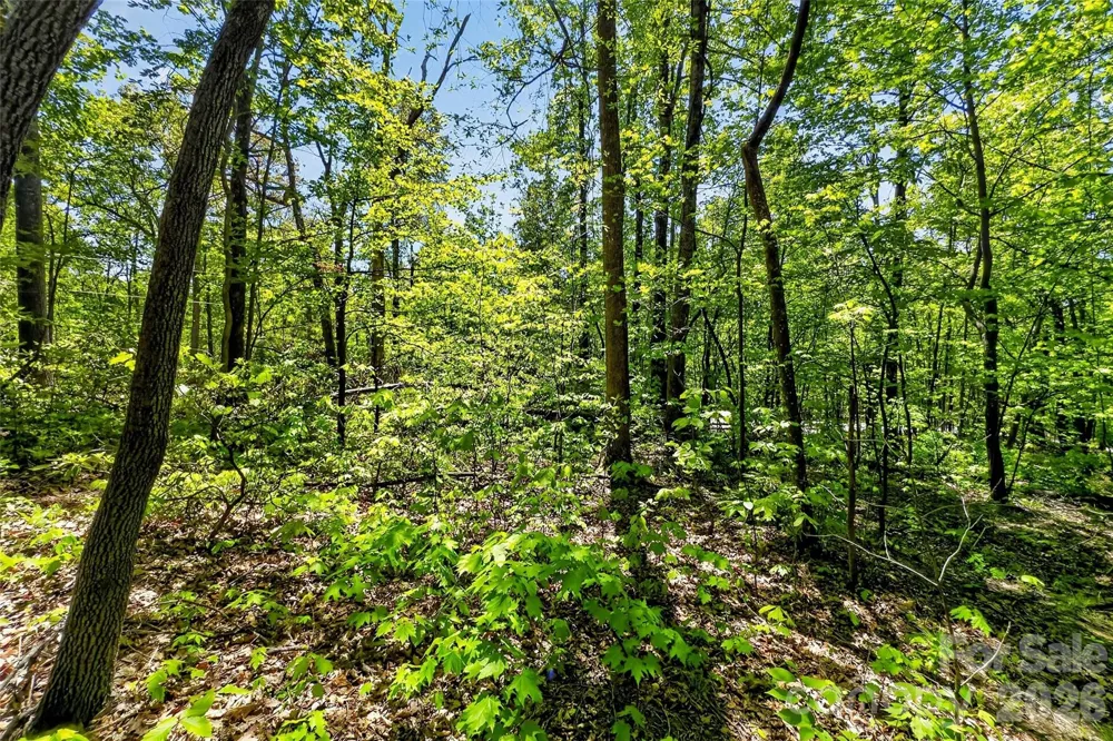7 Gateway Parkway Old Fort, NC 28762