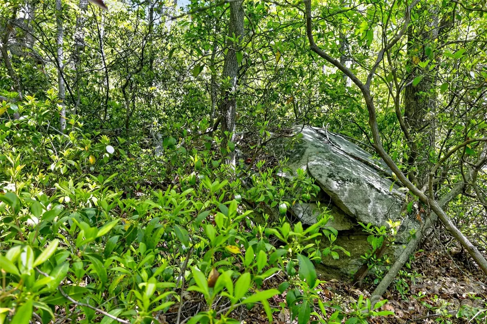 7 Gateway Parkway Old Fort, NC 28762