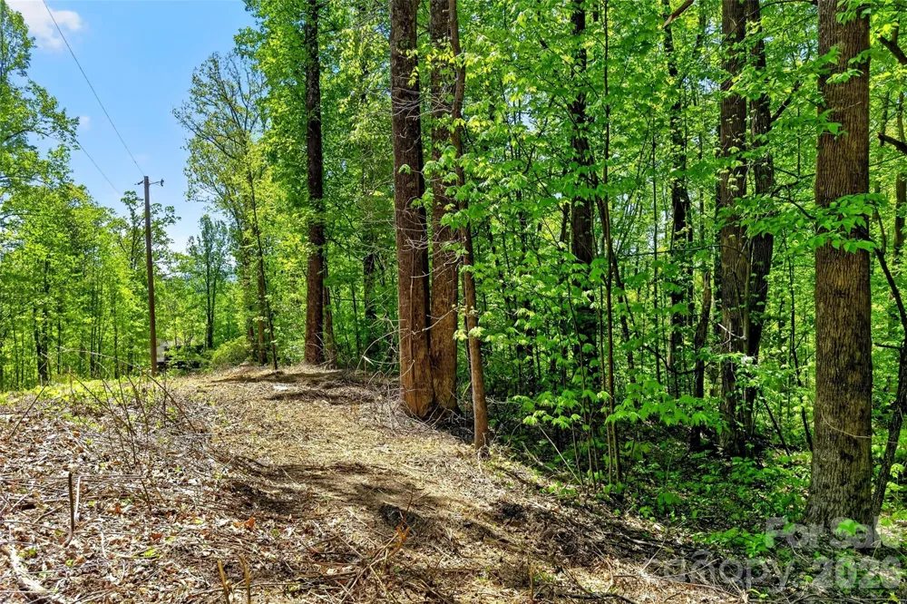 7 Gateway Parkway Old Fort, NC 28762