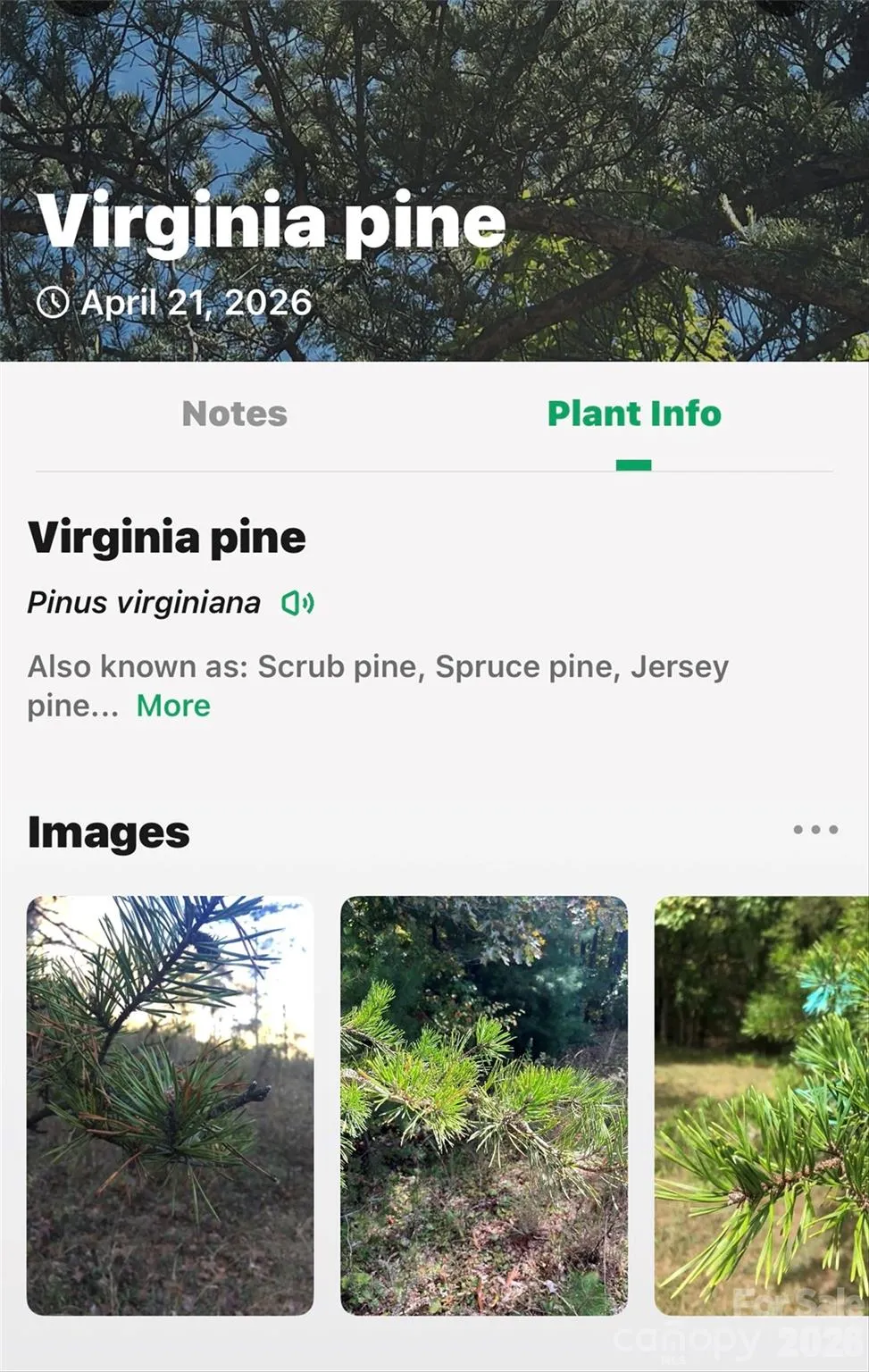 7 Gateway Parkway Old Fort, NC 28762