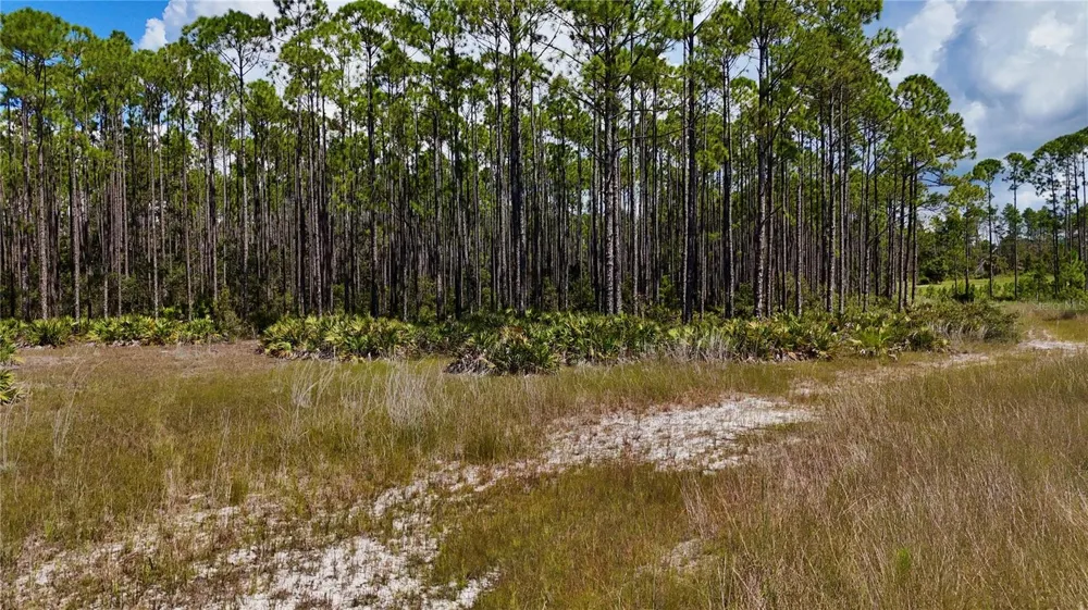 KEY DEER CT, Perry, FL 32348