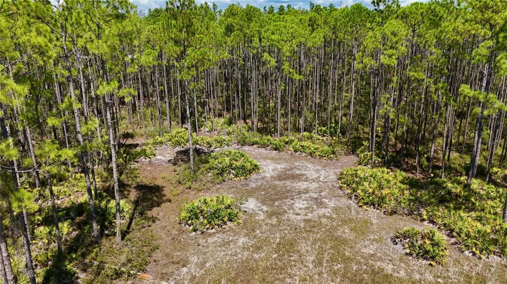 KEY DEER CT, Perry, FL 32348