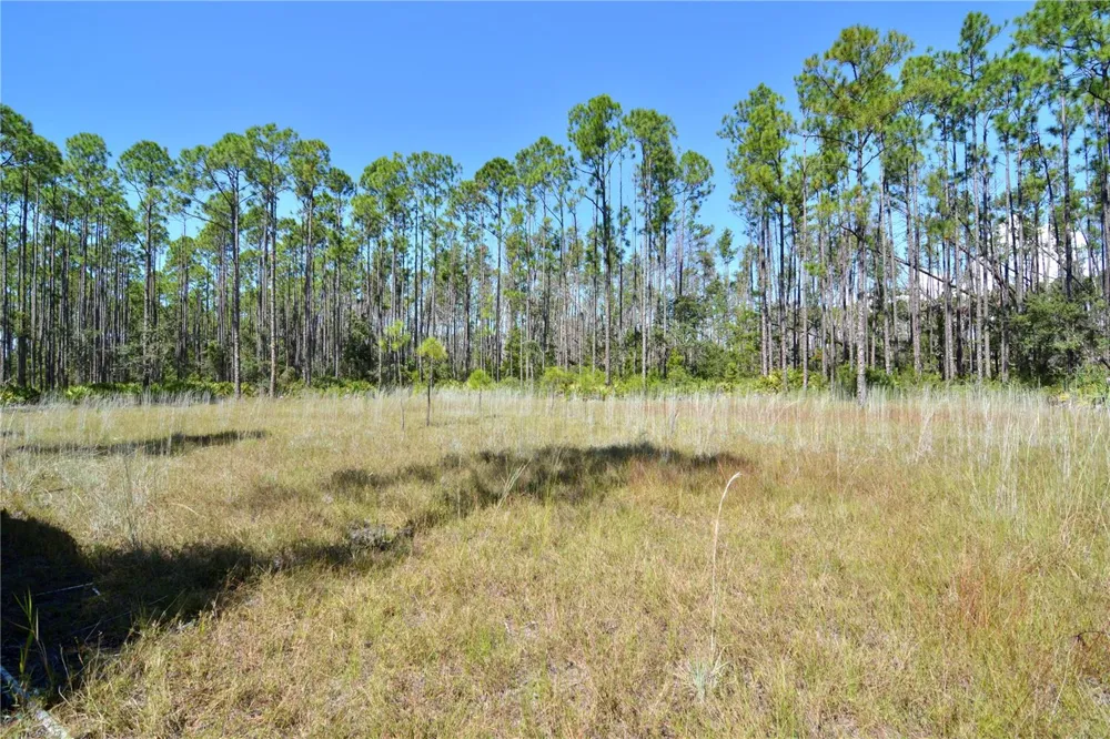 KEY DEER CT, Perry, FL 32348