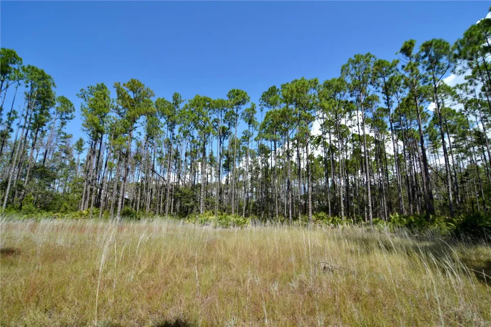 KEY DEER CT, Perry, FL 32348