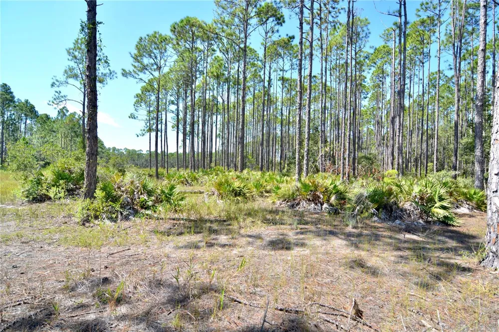 KEY DEER CT, Perry, FL 32348