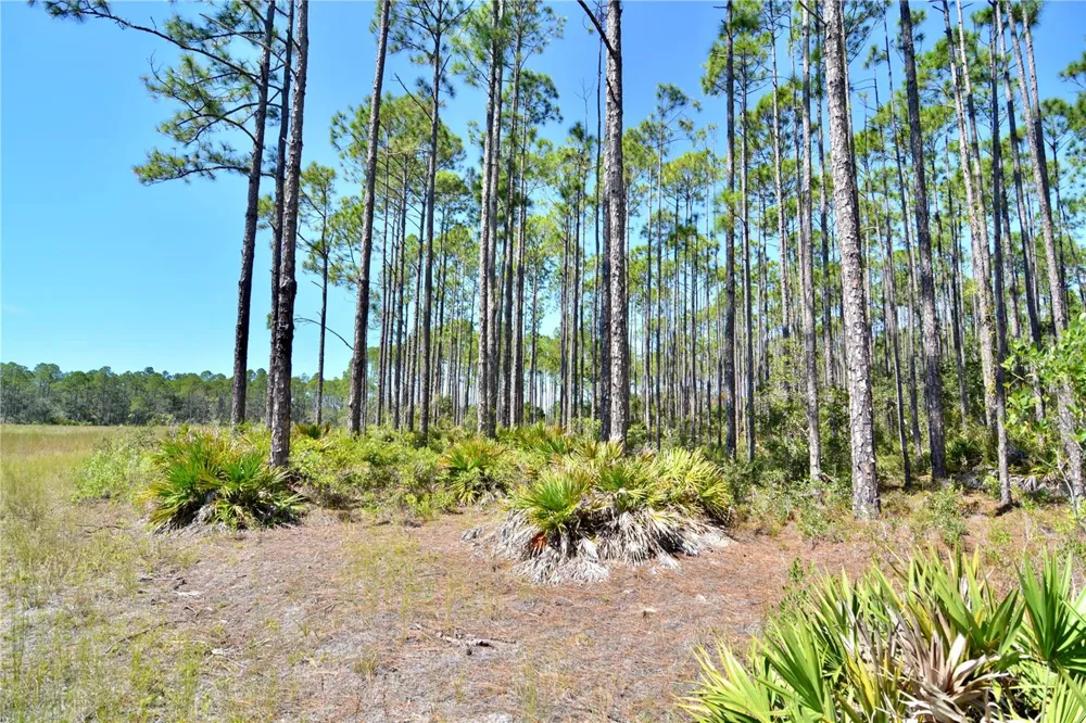 KEY DEER CT, Perry, FL 32348