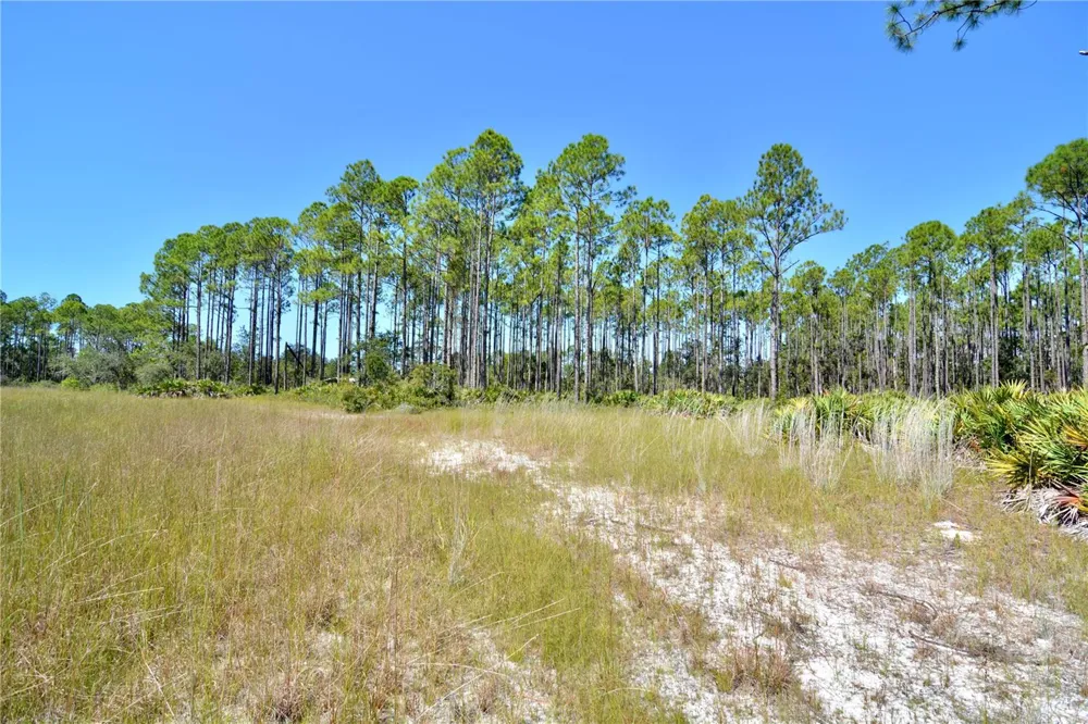 KEY DEER CT, Perry, FL 32348