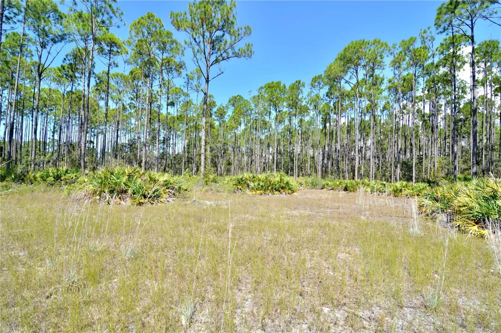 KEY DEER CT, Perry, FL 32348
