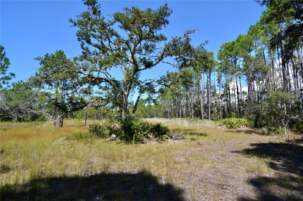 KEY DEER CT, Perry, FL 32348