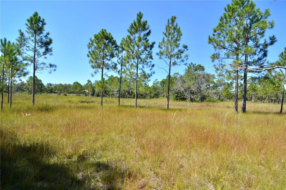 KEY DEER CT, Perry, FL 32348