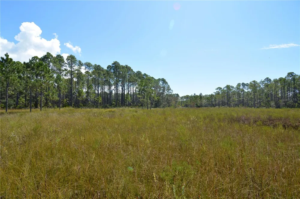 KEY DEER CT, Perry, FL 32348