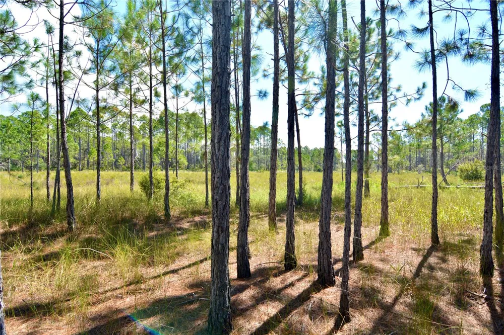 KEY DEER CT, Perry, FL 32348