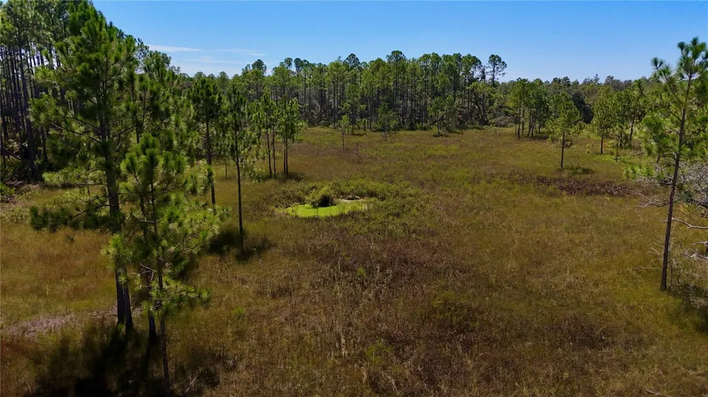 KEY DEER CT, Perry, FL 32348