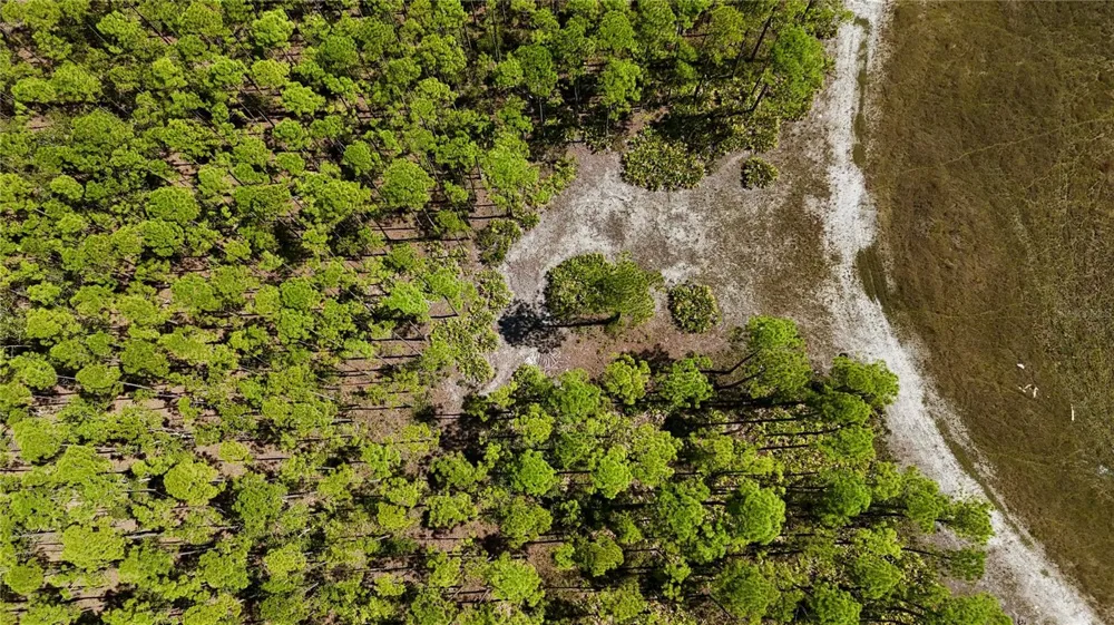 KEY DEER CT, Perry, FL 32348