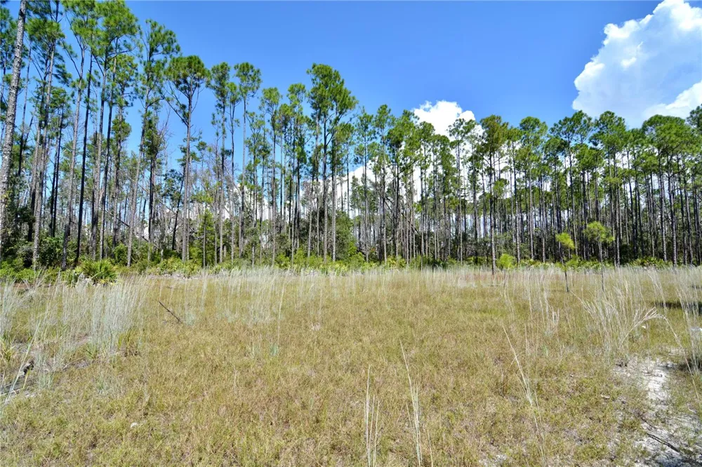 KEY DEER CT, Perry, FL 32348