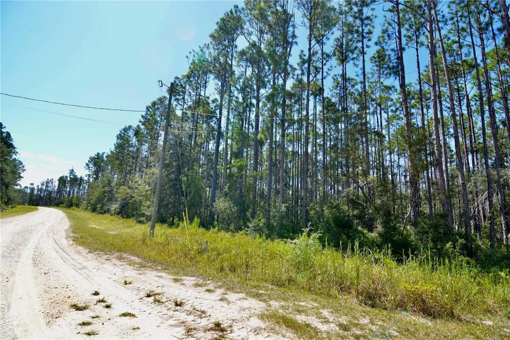 KEY DEER CT, Perry, FL 32348