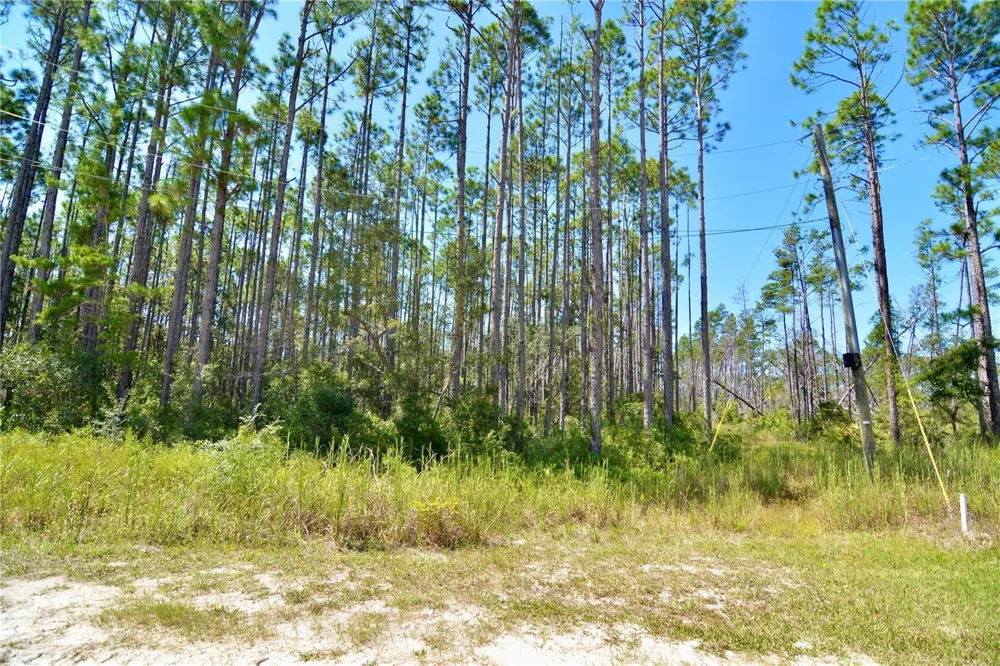 KEY DEER CT, Perry, FL 32348