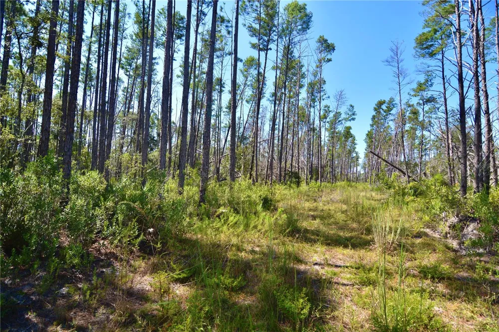 KEY DEER CT, Perry, FL 32348