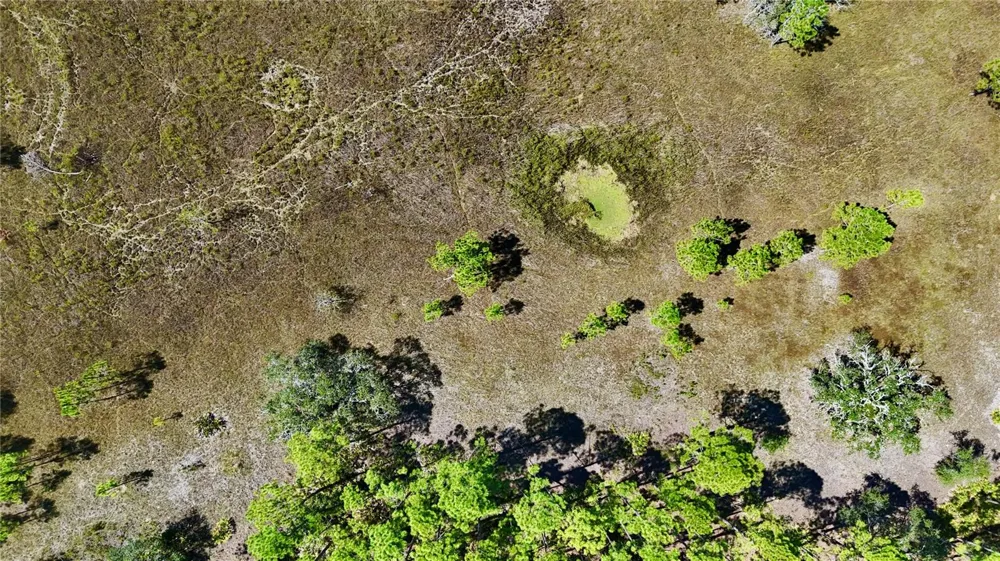 KEY DEER CT, Perry, FL 32348