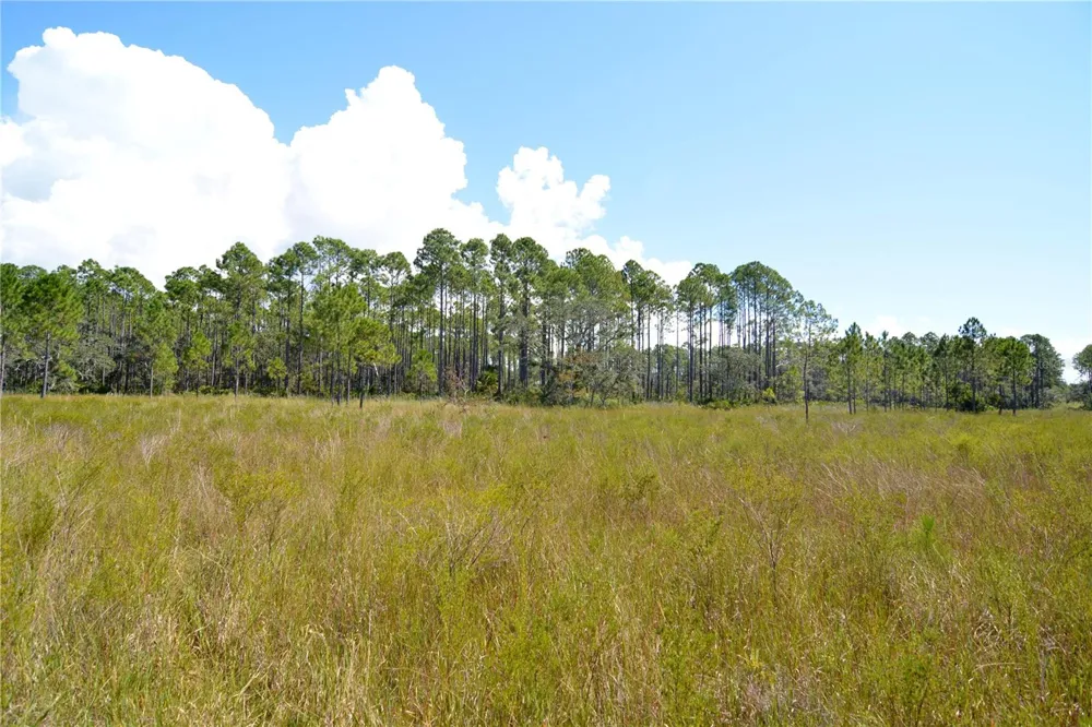 KEY DEER CT, Perry, FL 32348