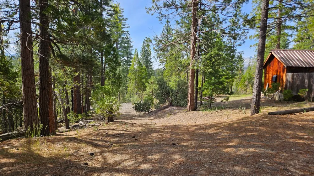 46336 Silvertip Way North Fork, CA 93643