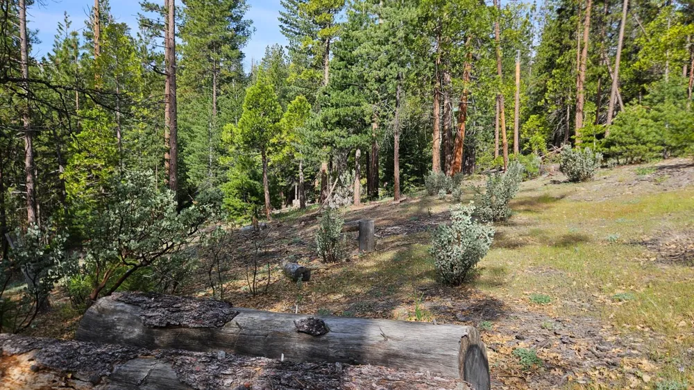 46336 Silvertip Way North Fork, CA 93643