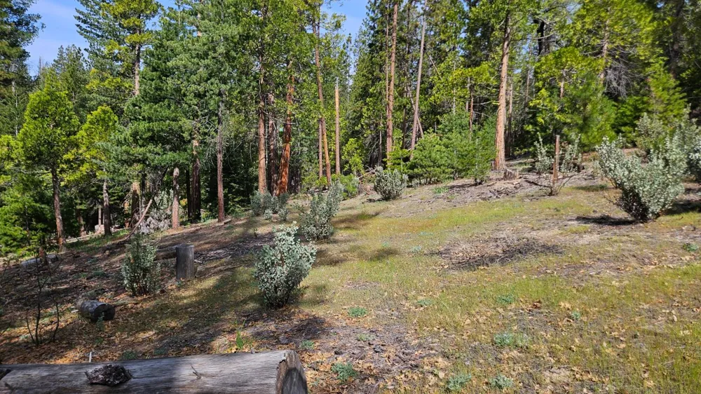 46336 Silvertip Way North Fork, CA 93643