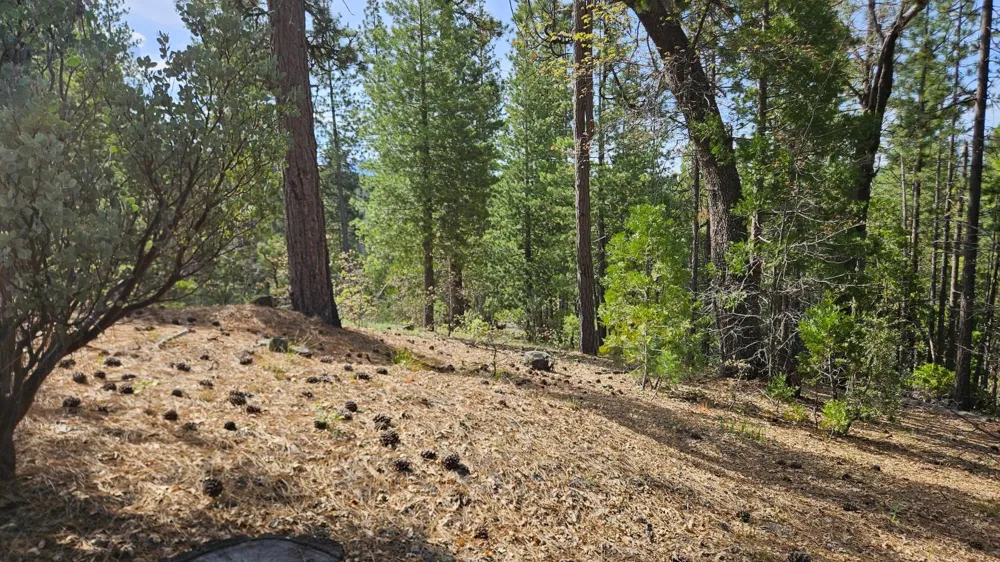 46336 Silvertip Way North Fork, CA 93643