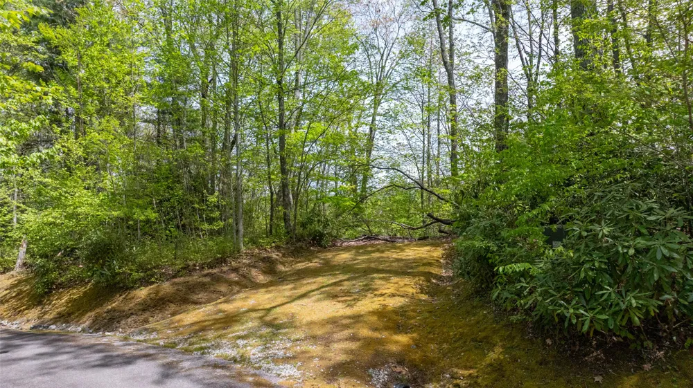 133 Horseshoe Bend Lane Cullowhee, NC 28723