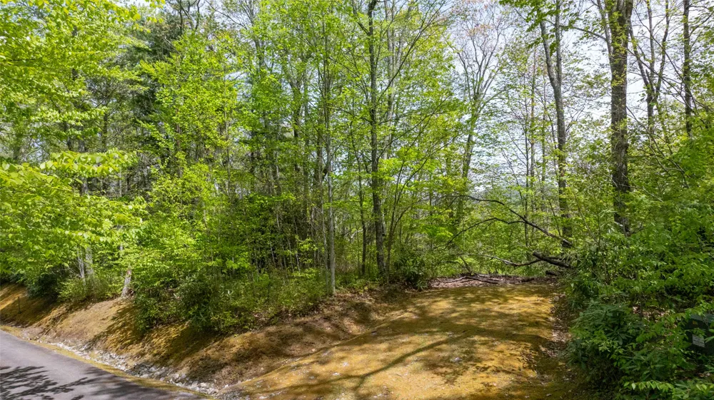 133 Horseshoe Bend Lane Cullowhee, NC 28723